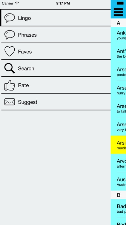 Aussie Lingo Australian Slang screenshot-4
