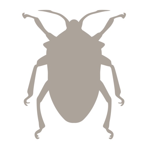 Fieldstone Guide: Insects
