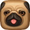 Pug Chalk Sticker Photo Editor