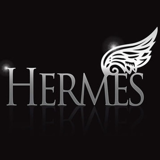 Hermes Worldwide Icon