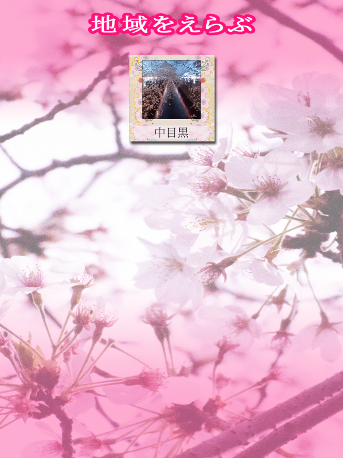 お花見さくらVR