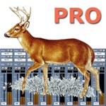 Deer Call  Pro Strategy