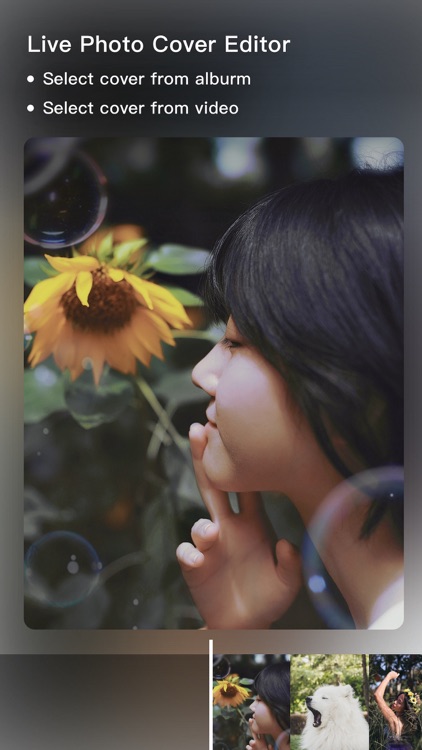 imgLive - Live Wallpaper Maker screenshot-7
