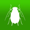 BugFinder