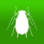 BugFinder