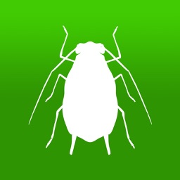 BugFinder