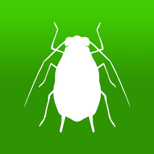 BugFinder