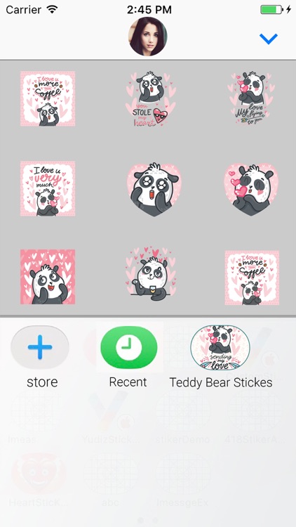 Teddy Bear : Animated Stickers screenshot-3