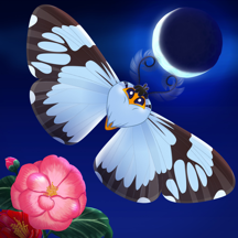 Flutter: Starlight