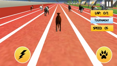 Dog Racing Game: Wild Animal screenshot 4