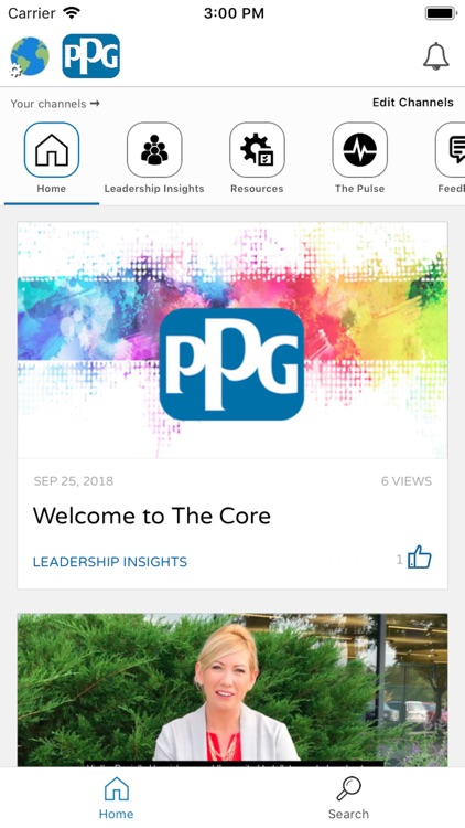 PPG - The Core