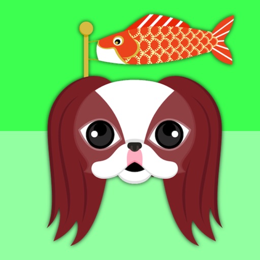 Red Sable Japanese Chin icon