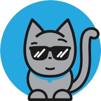 Stray Cat Brew