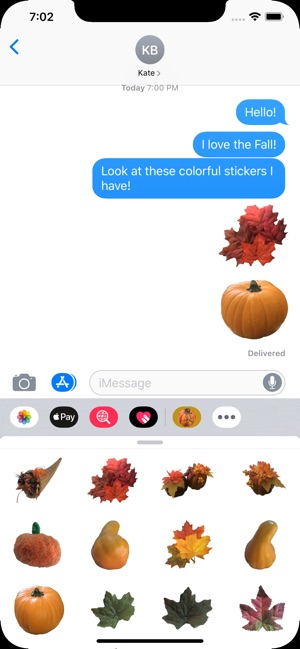 Fall Leaves & Pumpkin Stickers