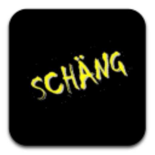 Schäng Band