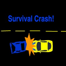Activities of Survival Crash