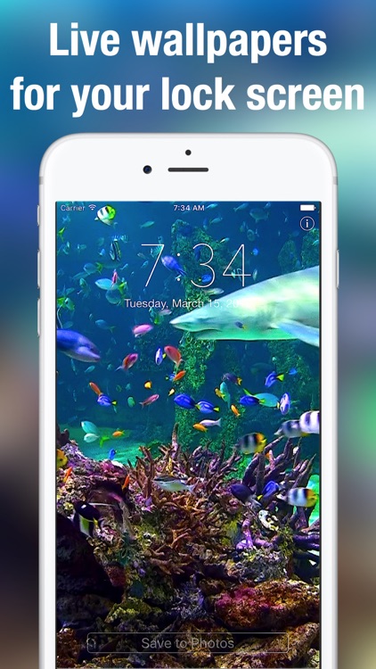 Aquarium Dynamic Wallpapers+ screenshot-0