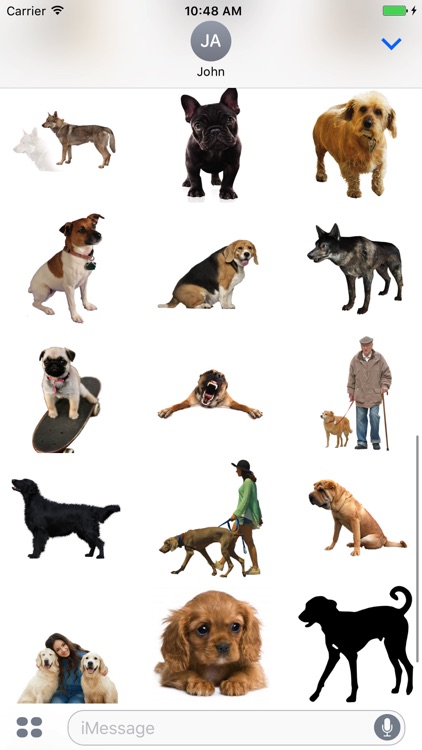 Fun Dogs Stickers!