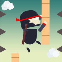 Ninja Action