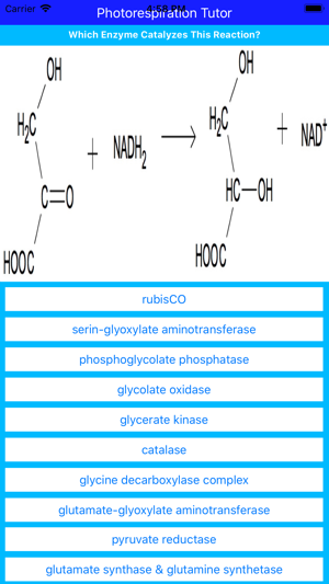 Photorespiration Tutor(圖3)-速報App