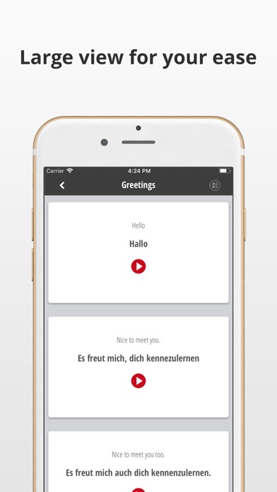 Learn German Language Quickly screenshot 3