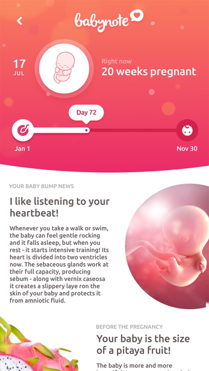 Babynote - Pregnancy Timeline