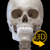 Skelett 3D Anatomie apk