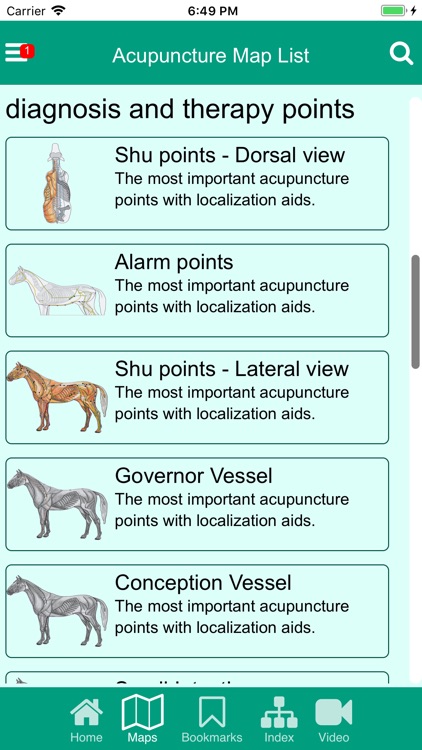 ACUPUNCTURE & LASER ON HORSES screenshot-5