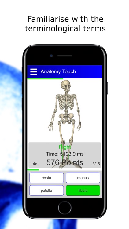 Anatomy Quiz lite