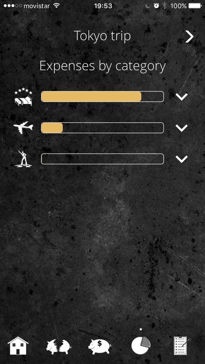 Budgetizer screenshot-6