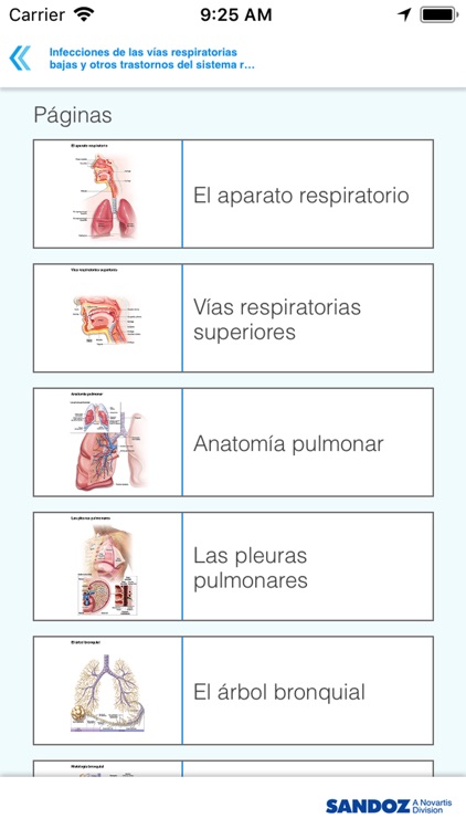 Inf. Vías Respiratorias Bajas