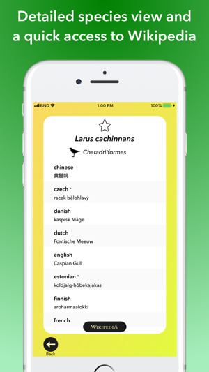 Bird Names Dictionary(圖2)-速報App