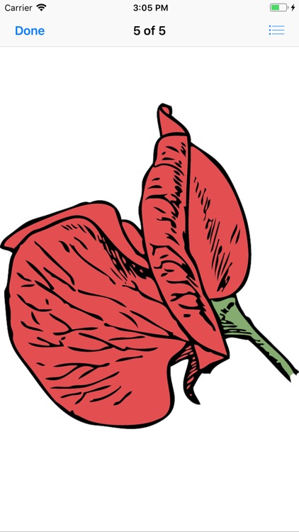 Red Poppy Stickers screenshot-4