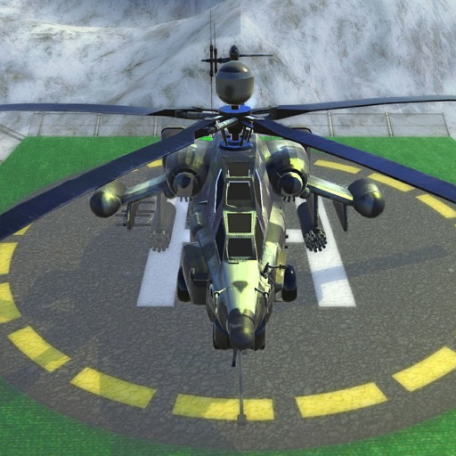 Warzone Helicopter Landing 3D