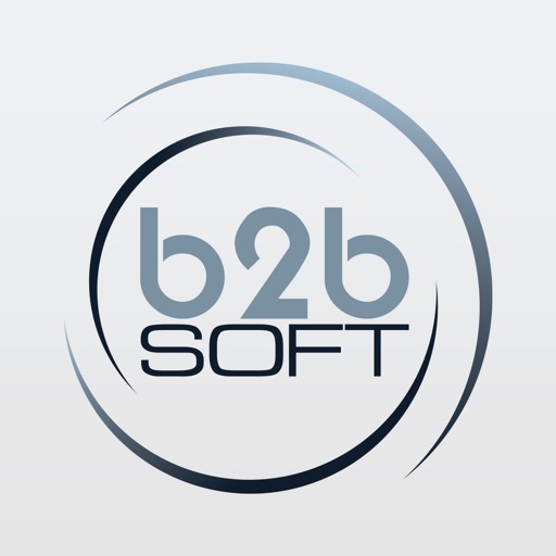 B2B Soft POS