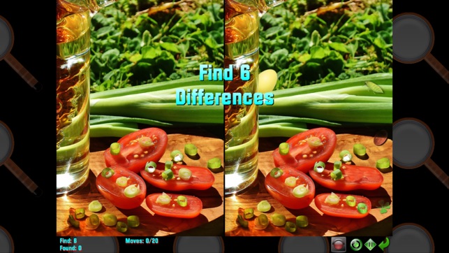 Find the Difference in Pics(圖2)-速報App