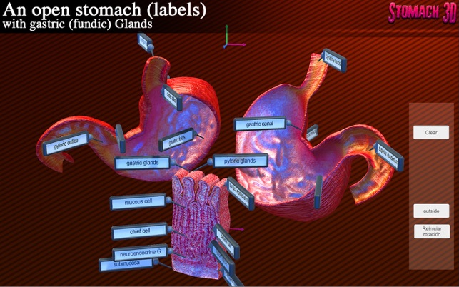 Stomach(圖3)-速報App