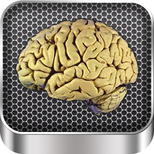 Brain Anatomy iOS App