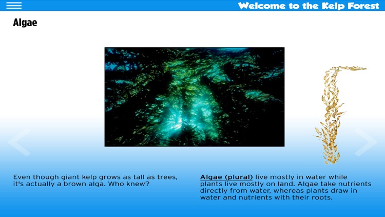 The Kelp Forest ebook