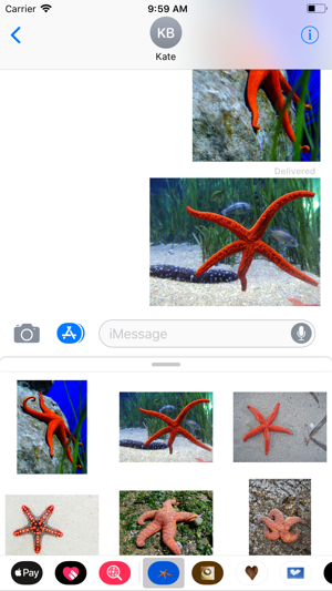 Starfish Sticker Pack(圖4)-速報App