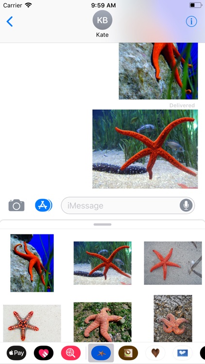 Starfish Sticker Pack screenshot-3