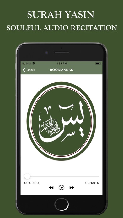 Surah Yaseen MP3 & Translation screenshot 4
