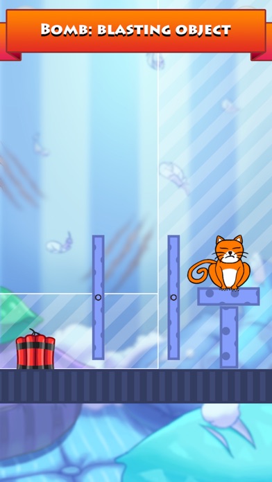 Hello Cats! screenshot1