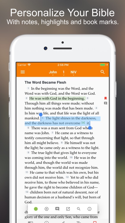 ESV Bible+