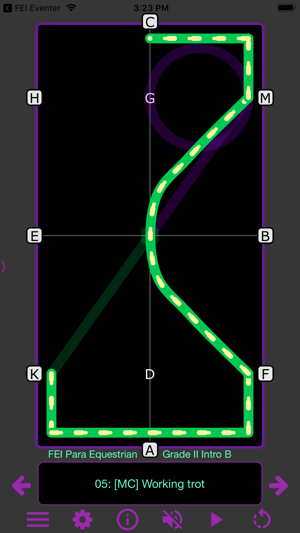 TestPro: FEI Para Dressage(圖7)-速報App