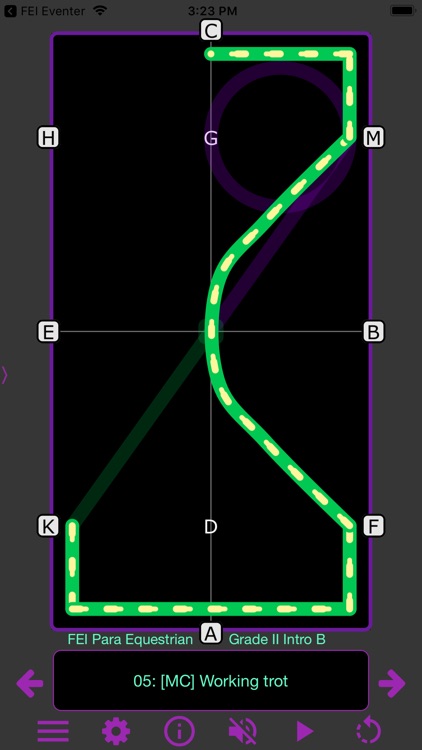 TestPro: FEI Para Dressage screenshot-6