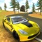 Ever wanted to try a sports car simulator