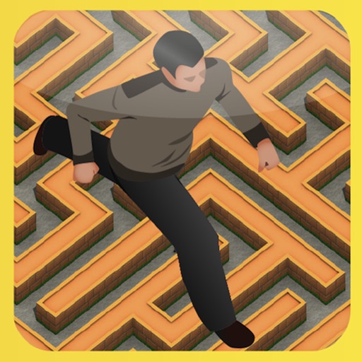 Escape Insanity - The new 3D Maze game Free Play