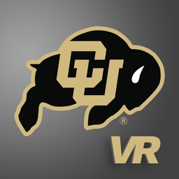 Buffs VR