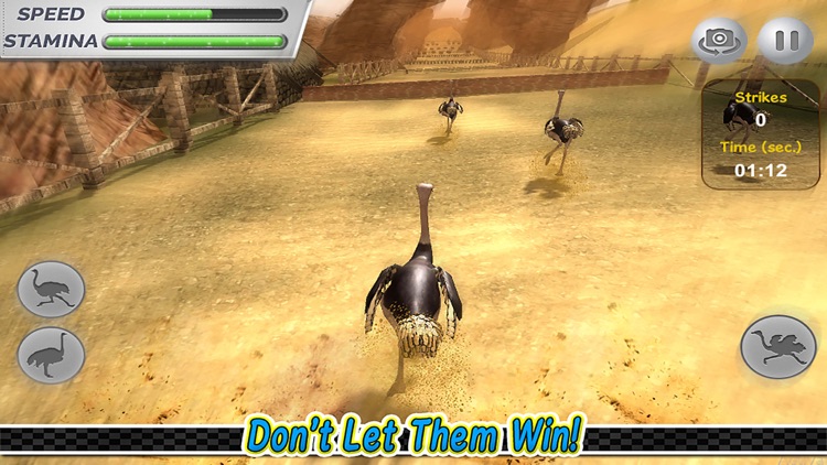 Ostrich Racing Simulator Pro